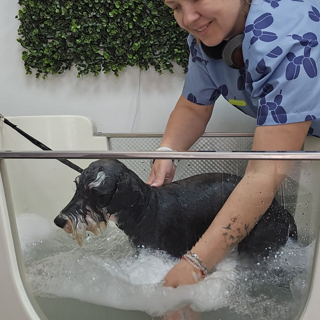 Servicio SPA Ozonoterapia