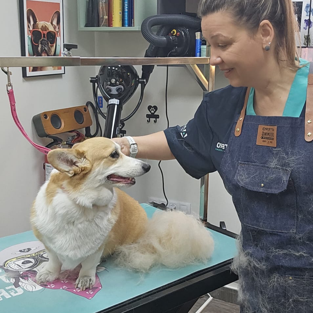 Servicio de deslanado